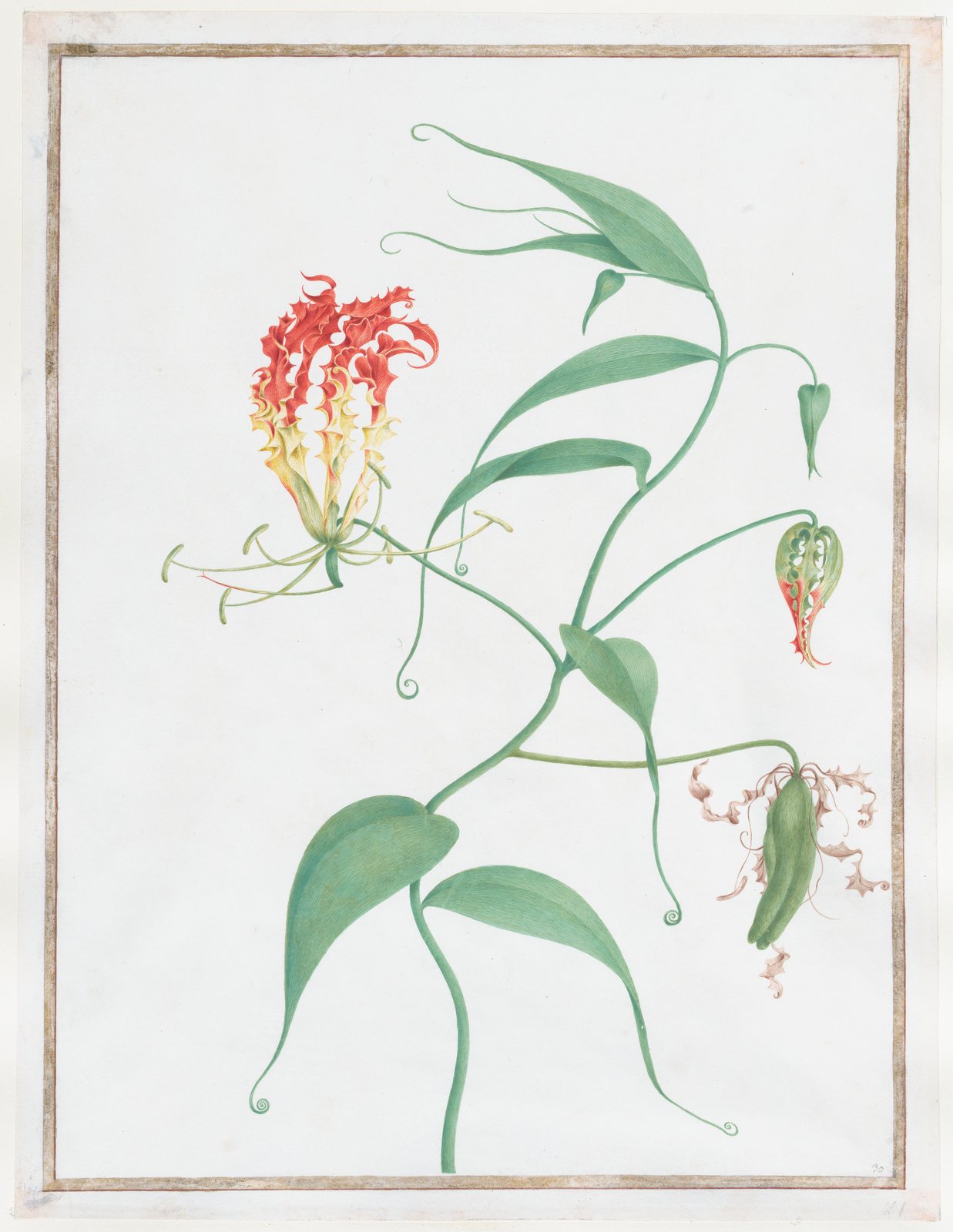雷杜德《嘉兰》